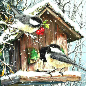 Snowbirds Home 5D DIY Paint By Diamond Kit