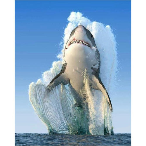 Big Shark 5D DIY Paint By Diamond Kit