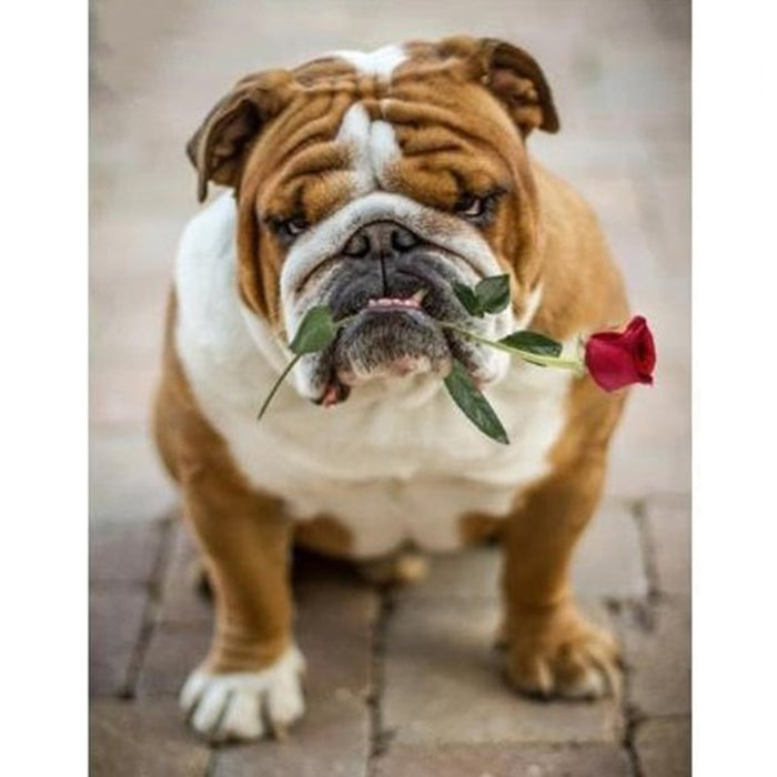 Bulldog Lover 5D DIY Paint By Diamond Kit