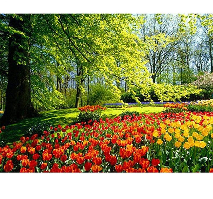 Spring colors in Garden 5D DIY Diamond Painting