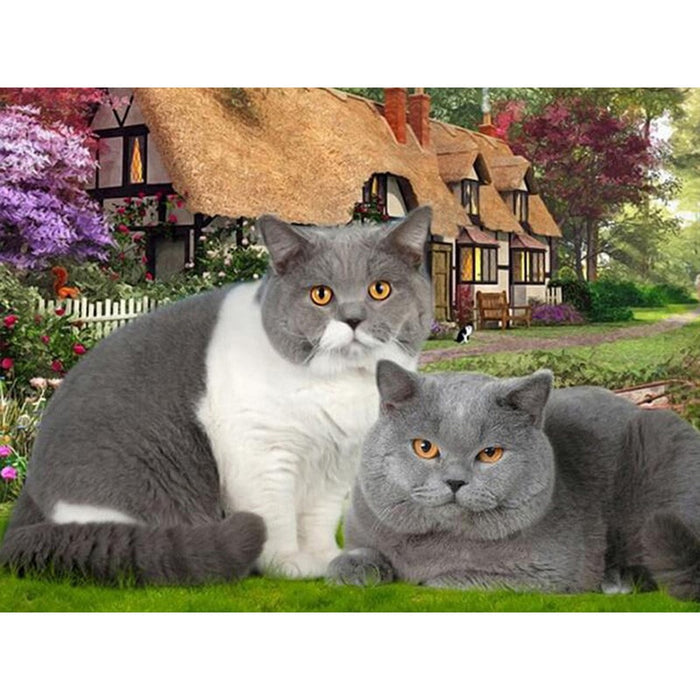 Two British Shorthair 5D DIY Paint By Diamond Kit