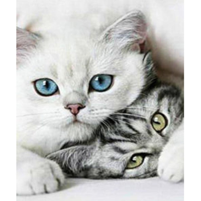 Two Cute Cats 5D DIY Paint By Diamond Kit