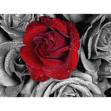 Red rose 5D DIY Paint By Diamond Kit