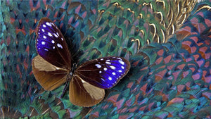 Vivid Butterfly 5D DIY Paint By Diamond Kit