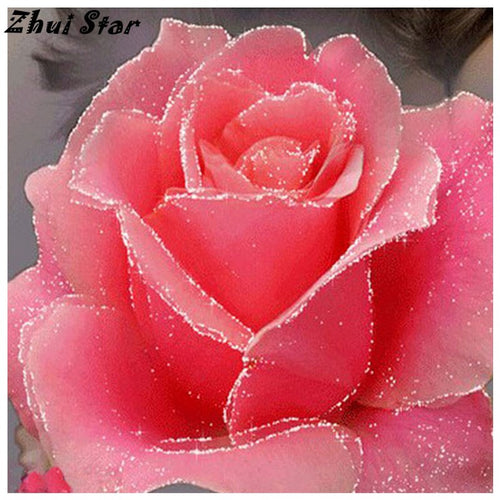 Red Rose 5D DIY Paint By Diamond Kit