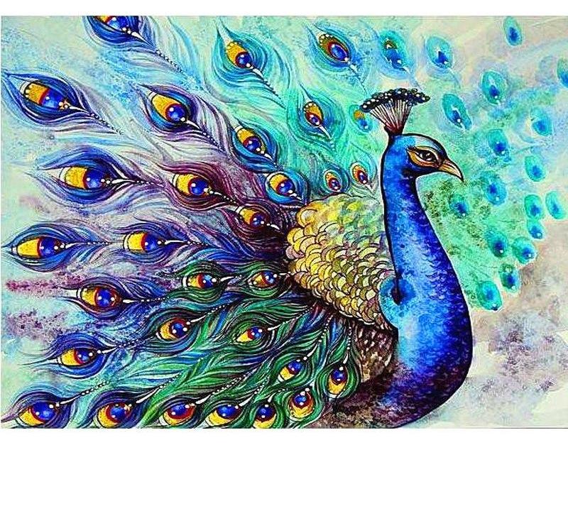 Peacock 5D DIY Paint By Diamond Kit