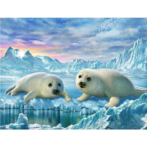 Seal Pups  5D DIY Paint By Diamond Kit