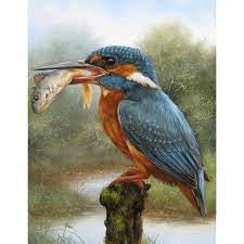 Bird Catching Fish 5D DIY Paint By Diamond Kit